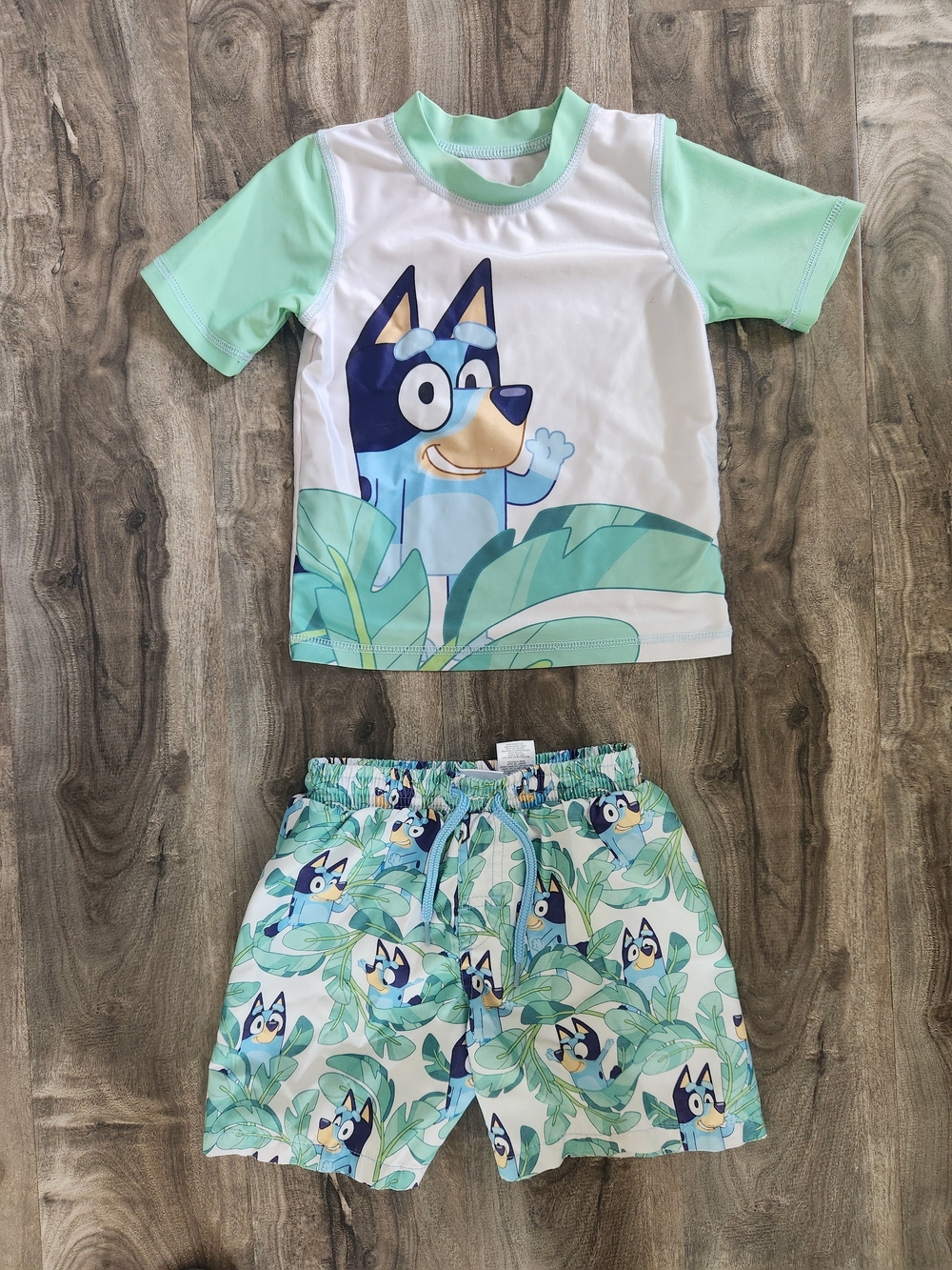 Bluey Boys Swim Set - Mint & Navy Character Print